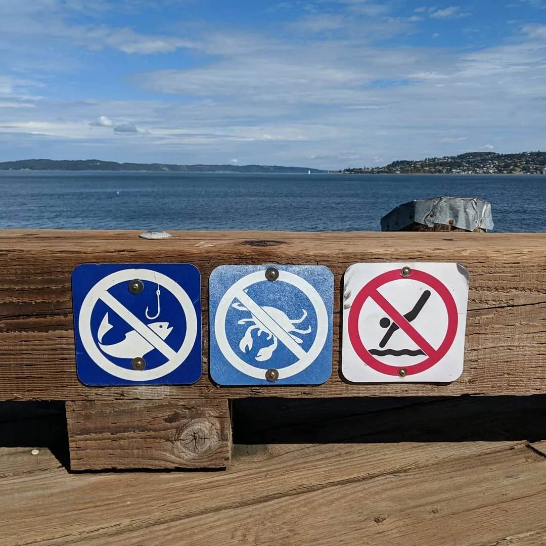 Description of the image