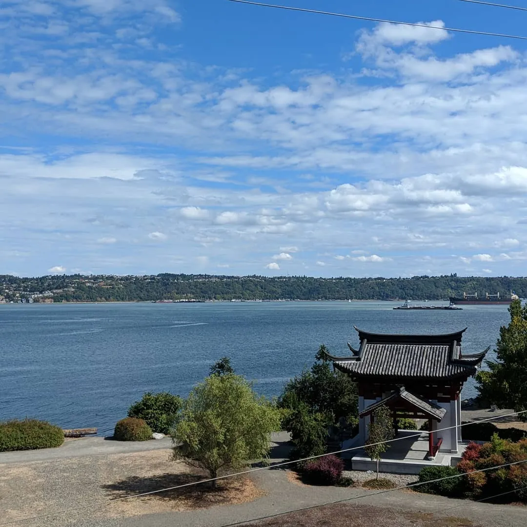 Description of the image